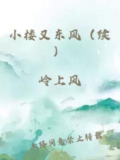 小樓又東風（續(xù)）