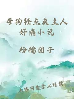 母狗輕點(diǎn)夾主人好痛小說