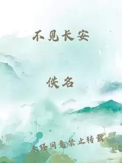 不見(jiàn)長(zhǎng)安